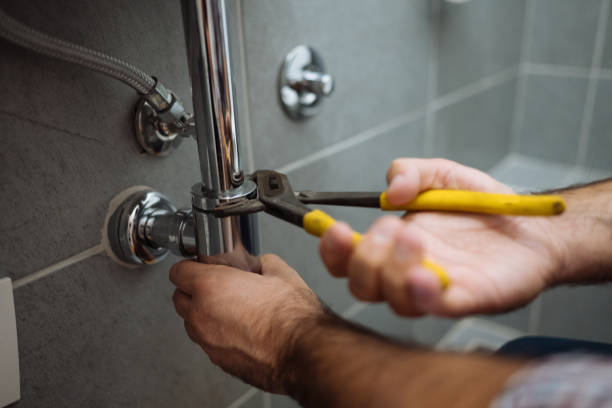Best Plumbing Inspection Services  in Marseles, IL